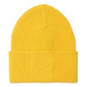 Men's Wool Crest Beanie