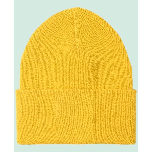 Men's Wool Crest Beanie